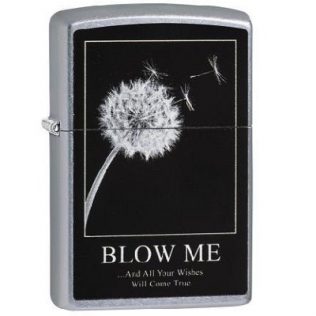 29621 Wishes ´´Blow me´´