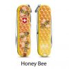 Honey Bee - Abeja