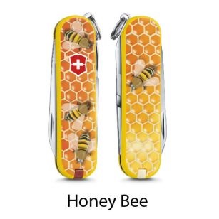 Honey Bee – Abeja – 2017