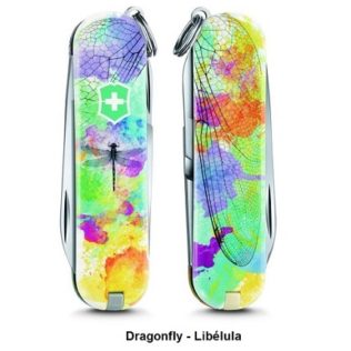 Dragonfly – Libelula – 2017