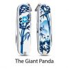 The Giant Panda -  Panda Gigante