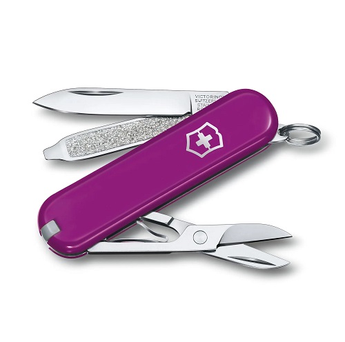 VICTORINOX 0.6223.52G TASTY GRAPE  (uva)